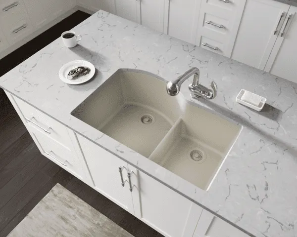 REVERE SINK2